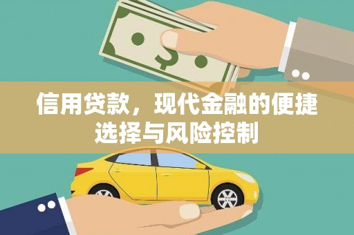 莱山信用贷款，现代金融的便捷选择与风险控制