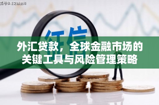 莱山外汇贷款，全球金融市场的关键工具与风险管理策略
