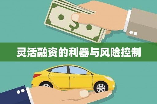 莱山灵活融资的利器与风险控制
