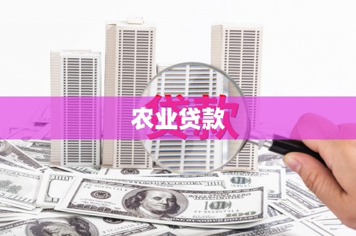 莱山农业贷款