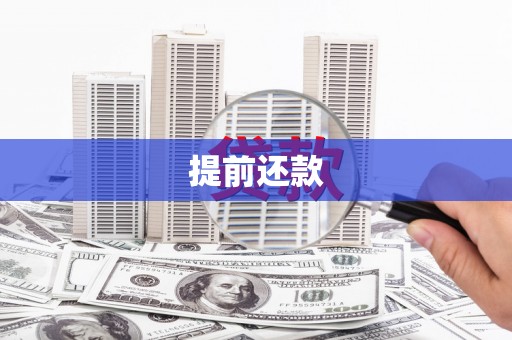 莱山提前还款