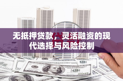 莱山无抵押贷款，灵活融资的现代选择与风险控制