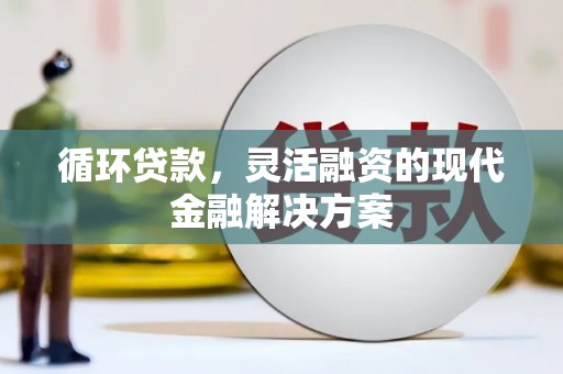 莱山循环贷款，灵活融资的现代金融解决方案