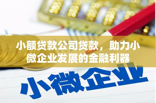 莱山小额贷款公司贷款，助力小微企业发展的金融利器