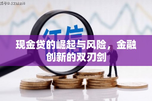 莱山现金贷的崛起与风险，金融创新的双刃剑
