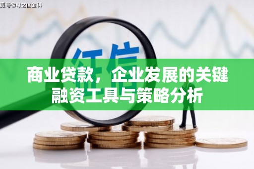莱山商业贷款，企业发展的关键融资工具与策略分析