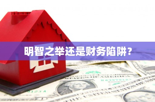 莱山明智之举还是财务陷阱？
