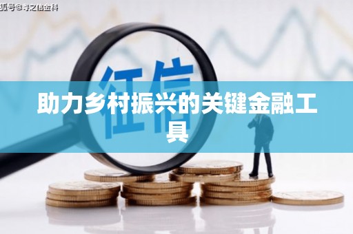 莱山助力乡村振兴的关键金融工具