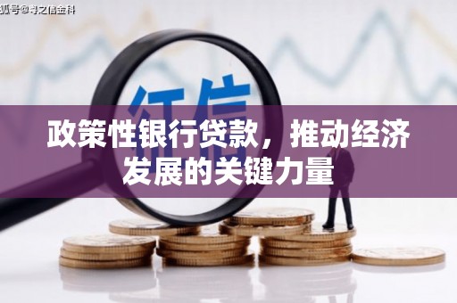 莱山政策性银行贷款，推动经济发展的关键力量