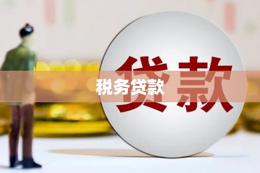 莱山税务贷款