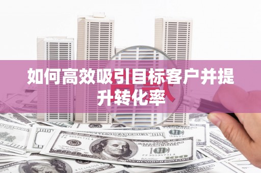 莱山如何高效吸引目标客户并提升转化率