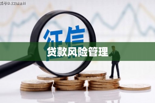 莱山贷款风险管理