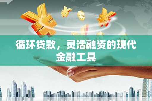 莱山循环贷款，灵活融资的现代金融工具