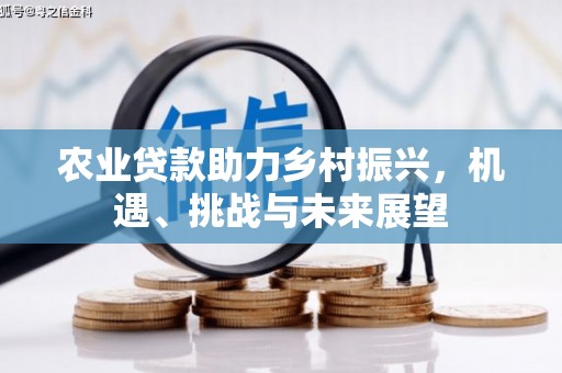 莱山农业贷款助力乡村振兴，机遇、挑战与未来展望