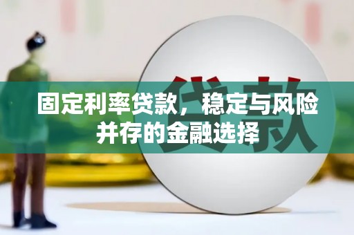 莱山固定利率贷款，稳定与风险并存的金融选择