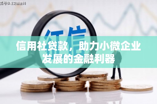 莱山信用社贷款，助力小微企业发展的金融利器
