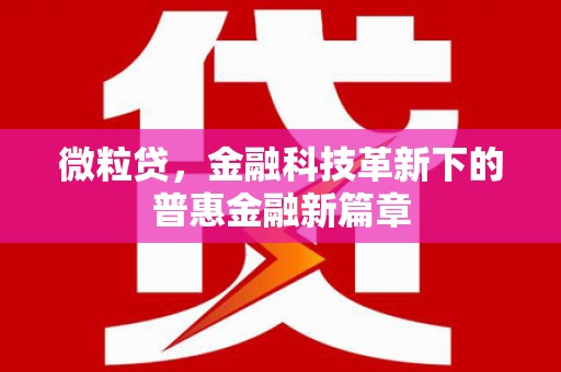莱山微粒贷，金融科技革新下的普惠金融新篇章