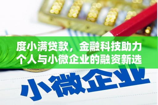 莱山度小满贷款，金融科技助力个人与小微企业的融资新选择