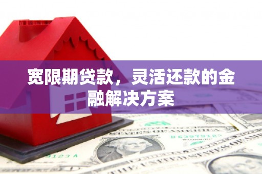 莱山宽限期贷款，灵活还款的金融解决方案