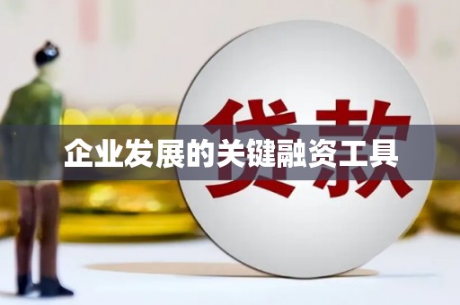 莱山企业发展的关键融资工具