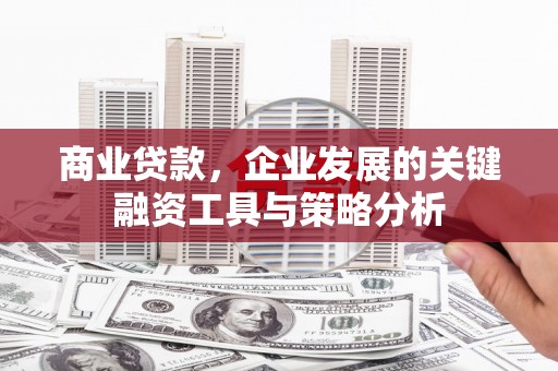 莱山商业贷款，企业发展的关键融资工具与策略分析