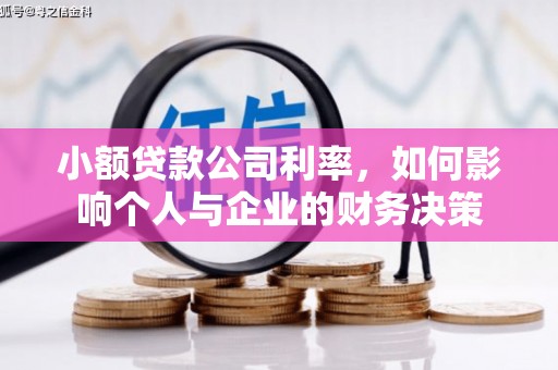莱山小额贷款公司利率，如何影响个人与企业的财务决策