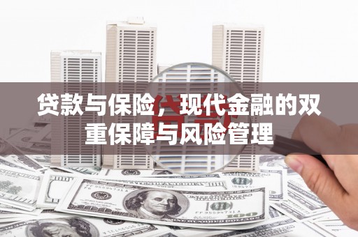 莱山贷款与保险，现代金融的双重保障与风险管理