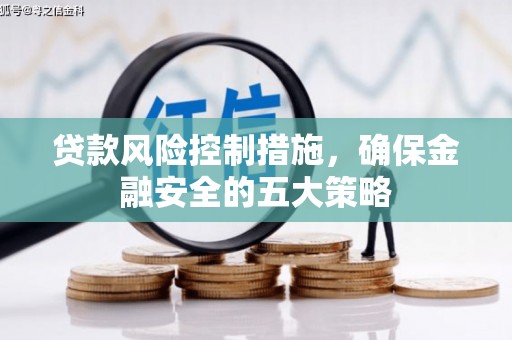 莱山贷款风险控制措施，确保金融安全的五大策略