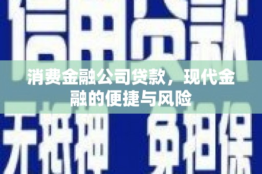 莱山消费金融公司贷款，现代金融的便捷与风险