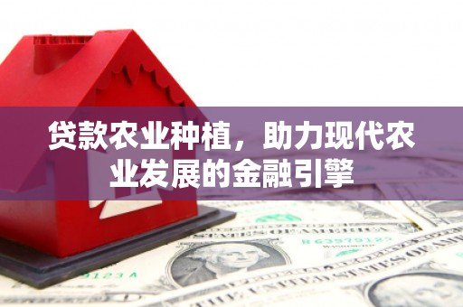 莱山贷款农业种植，助力现代农业发展的金融引擎