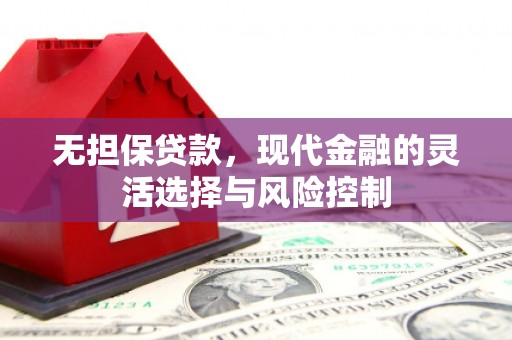 莱山无担保贷款，现代金融的灵活选择与风险控制
