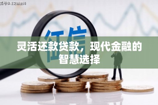 莱山灵活还款贷款，现代金融的智慧选择