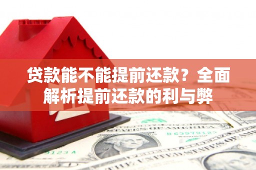 莱山贷款能不能提前还款？全面解析提前还款的利与弊