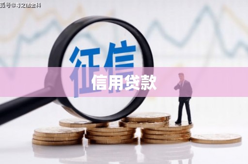 莱山信用贷款