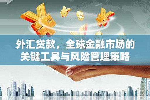 莱山外汇贷款，全球金融市场的关键工具与风险管理策略