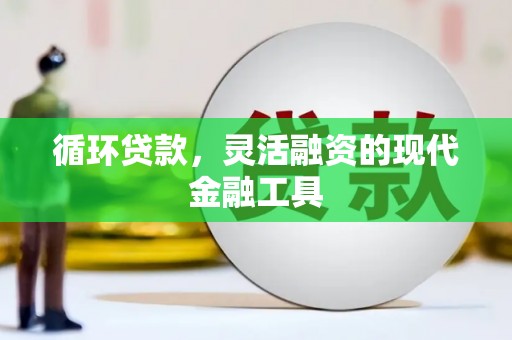 莱山循环贷款，灵活融资的现代金融工具