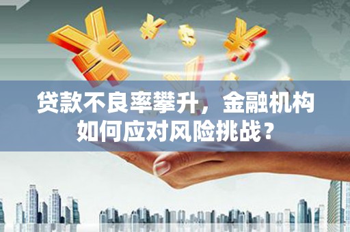 莱山贷款不良率攀升，金融机构如何应对风险挑战？