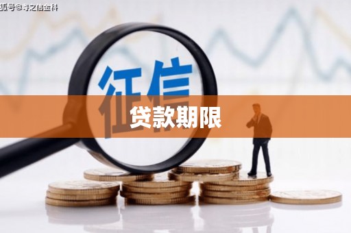 莱山贷款期限