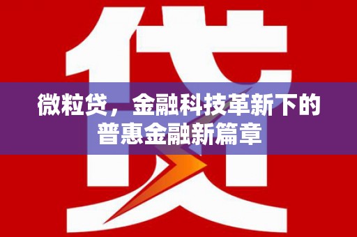 莱山微粒贷，金融科技革新下的普惠金融新篇章