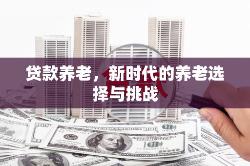 莱山贷款养老，新时代的养老选择与挑战