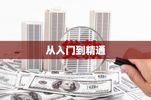 莱山从入门到精通