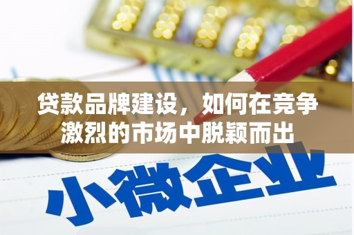 莱山贷款品牌建设，如何在竞争激烈的市场中脱颖而出