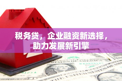 莱山税务贷，企业融资新选择，助力发展新引擎
