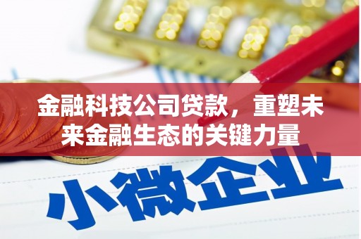 莱山金融科技公司贷款，重塑未来金融生态的关键力量