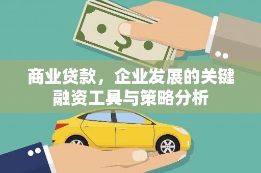 莱山商业贷款，企业发展的关键融资工具与策略分析