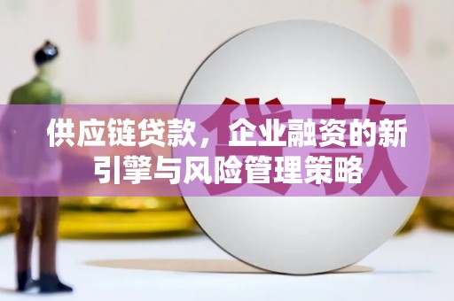 莱山供应链贷款，企业融资的新引擎与风险管理策略