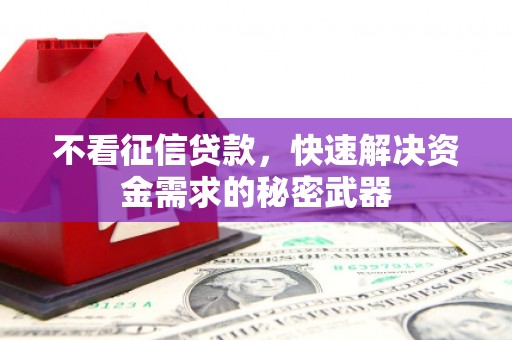 莱山不看征信贷款，快速解决资金需求的秘密武器