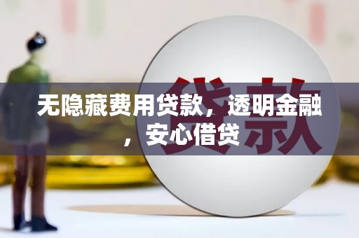 莱山无隐藏费用贷款，透明金融，安心借贷