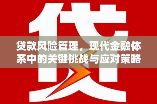 莱山贷款风险管理，现代金融体系中的关键挑战与应对策略
