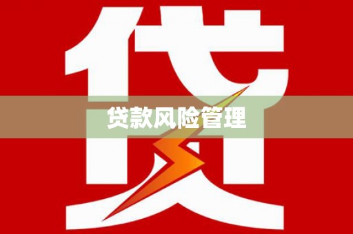 莱山贷款风险管理
